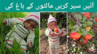 آئیں کریں عنائزہ کی نانو کے باغ کی سیر /Malton k  bagh ki sair Karin #orange #مالٹا