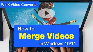 How to Merge Videos in Windows 10/11 | 3 Simple Steps
