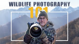 TOP TIPS to get into WILDLIFE PHOTOGRAPHY.  Learn from a professional!