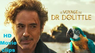 Voyage of Dr. Dolittle (Robert Downey Jr) best movie clip | Scene Safari