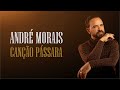 André Morais | Canção Pássara