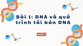 Ôn tập bài 1: DNA và quá trình tái bản DNA (Buổi 1)