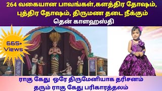 திருப்பாம்புரம் சேஷபுரீஸ்வரர் [பாம்புரேஸ்வரர்] கோவில் | SriSeshapureeswararTemple vlog | DiraDinesh