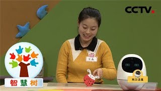 《智慧树》巧巧手手工屋：七星瓢虫不倒翁 20190204 | CCTV少儿