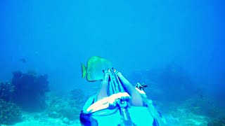 Spearfishing di Ref Nunaki. Vlog 1 #Spearfishing Indonesia