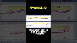 세력의 매집기간