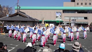 薫風 @ 浜松がんこ祭 (浜松城公園B) 2019-03-09T11:18