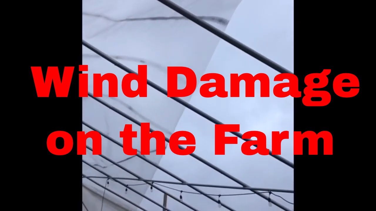 Wind Damage On The Farm! - YouTube