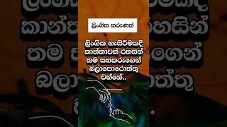 හම්බෝ ඔයාට හිතාගන්නවත් බෑ ඒක😍 #shorts #education #facts