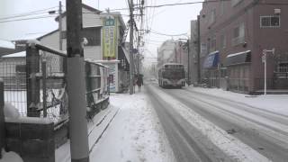 東京２３区　１３年ぶりの大雪警報発令　杉並区本天沼の日大二高通りにて　Tokyo Heavy snow　２０１４．２．８