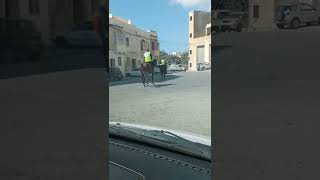 Malta police | round by 🐎 horses ||