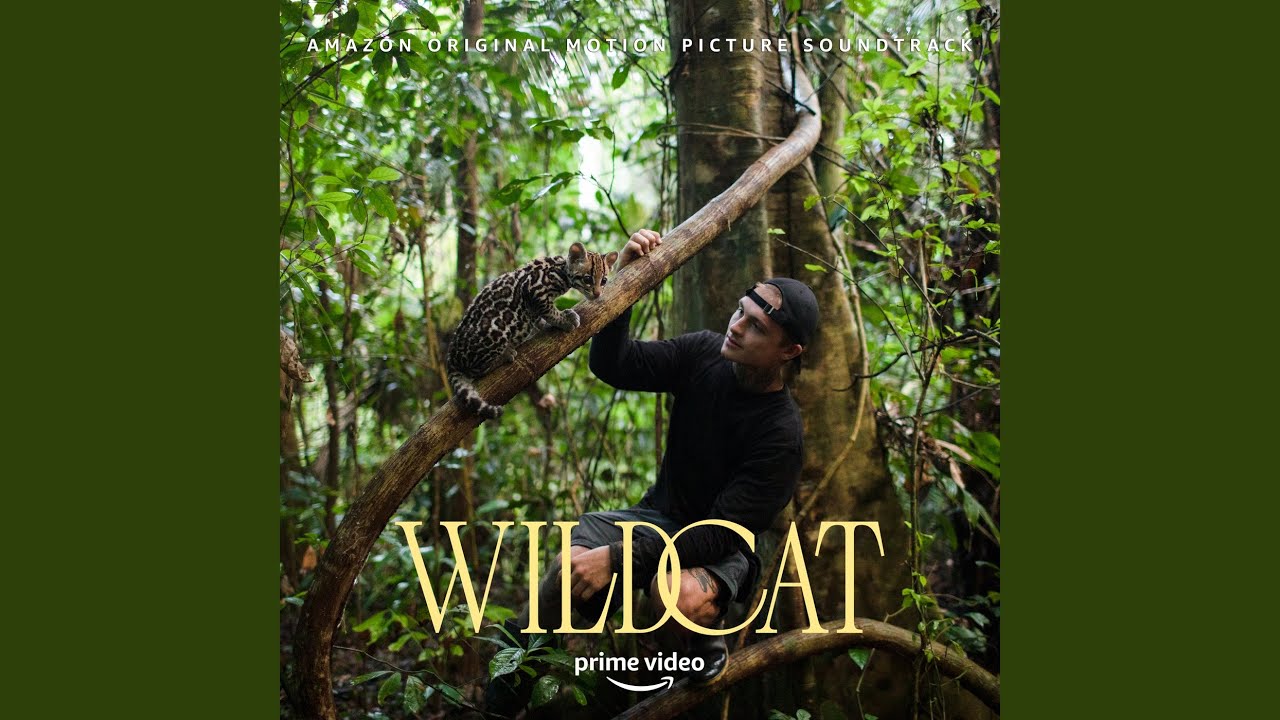 Project Rewild Youtube