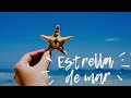 Reflexión del joven y las estrellas de mar..