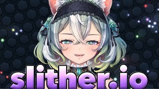 すみません！今宵は毛虫です【新人Vtuber】