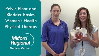 Pelvic Floor and Bladder Basics: Women's Health Physical Therapy