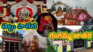 శ్రీ తెట్టు పాలేటి గంగమ్మ జాతర|shri thettupaletigangamma thirunala|angallu|madanapalle|thettuvillage