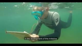 Ngunguru School in the Far North uncovers ocean secrets