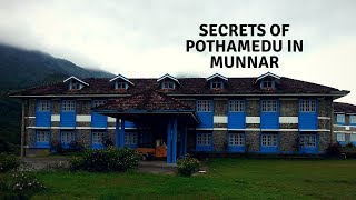 SECRETS OF POTHAMEDU IN MUNNAR