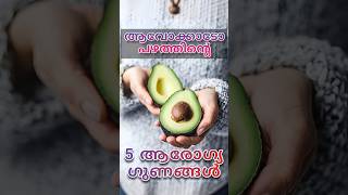 ആവോക്കാടോയുടെ 5 ആരോഗ്യ ഗുണങ്ങൾ #avocado