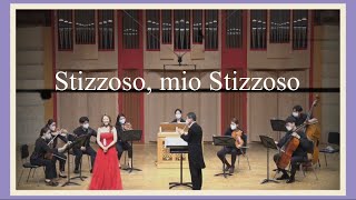 공연실황 | G.B.Pergolesi Stizzoso, mio Stizzoso - Soprano Guibee Yang 오페라 [마님이 된 하녀] 소프라노 양귀비