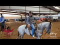 Trevor Brazile Talks About Teaching A Head Horse To Face