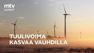 Suomi on tällä hetkellä Euroopan kuumin tuulivoima-alue