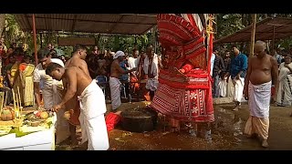 പോർക്കലി ഭഗവതി അവസാന ഘട്ടം. ഗുരുസി