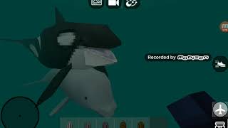 Mini Block Craft Show S2E7 The Rare Sea Animals