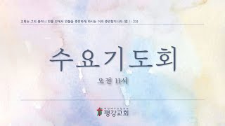 2025/02/19 평강교회 수요기도회#의정부평강교회 #평강교회 #이용철목사