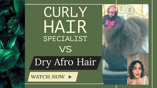 Curly Hair Specialist vs Dried-out Afro Hair | Tik Tok Chronicles #2