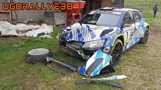 Best of Rallye 2024 [CRASHES, MISTAKES, SHOW & FLAT OUT]