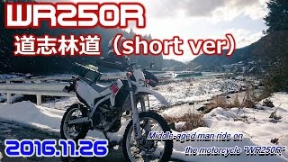 【MotoVlog】WR250R-道志林道（short-ver）_20161126