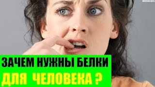 Зачем нужны белки для организма человека?