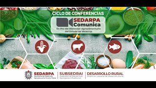 EXPERIENCIAS EN EL CULTIVO DE MAÍZ DR. CUAUHTÉMOC JOSUE HERNÁNDEZ ROJAS DE LA UBBJ