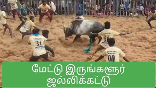 இருங்களூர் ஜல்லிகட்டு | திருச்சி மண்ணச்சநல்லூர் |mettu irungalur jallikattu samayapuram near trichy