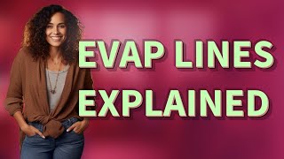 Where Does an Evap Line Usually Appear on a Pregnancy Test?