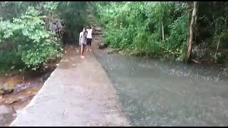 natural pond in the middle of a forest   കാടിനു നടുവിലെ വെള്ളച്ചാട്ടം 😍🔥