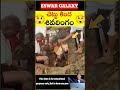 ఇదెక్కడి వింత బాబోయ్ shorts viral youtubeshorts