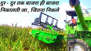 अच्छा काम अच्छी कमाई ।। Bajra Harvesting by combine ।। Millet (Bajra)Harvester ।।