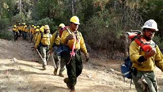 Singing firefighters firefighters men singing forest