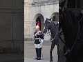 the most historical moment i ever court on camera twins dismount the horse s horseguard