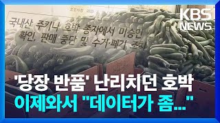 주키니호박 출하 재개…피해 눈덩이 / KBS  2023.04.04.