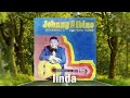 linda / Johnny Albino - En Homenaje A Don Pedro Flores | Boleros