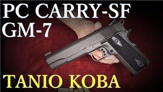 12年目点検 GM7・PC CARRY-SF / タニオ・コバ