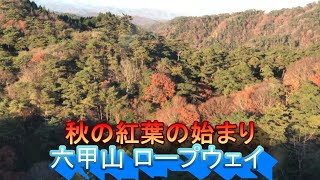 秋、紅葉の六甲有馬ロープウェイ。ダイナミックな空中散歩