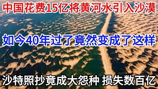 中国花费15亿将黄河水引入沙漠，如今40年过了竟然变成了这样，沙特照抄竟成大怨种损失数百亿#中国沙漠#沙漠治理#中国基建#科普