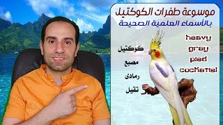 أشهر طفرات الكوكتيل شرح بالصور