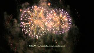 ２０１３　(fireworks) ツインリンクもてぎ　花火の祭典冬　エンディング