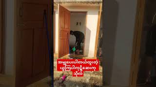 အမျှပေးပါတယ်ထူးတဲ့ယူကြပါကုဋီဆေးကုသိုလ် #dhamma #voiceeffects #buddhistsymbols #buddhistphilosophy