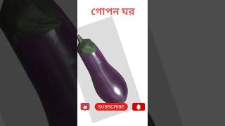 গোপন ঘর #facts #biology#brinjal #eggplant #fruitborer #fruitborerof brinjal #luecinodes